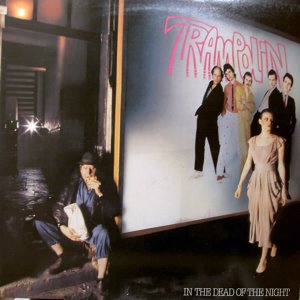 Trampolin - In the dead of the night