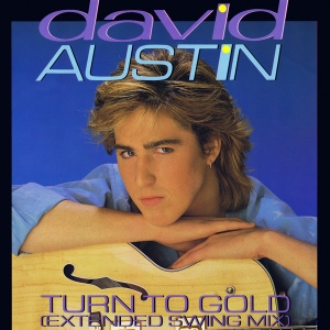 David Austin - Turn to gold